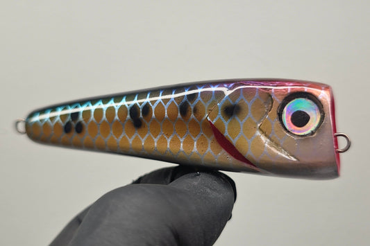 THREE-SPOT TILAPIA