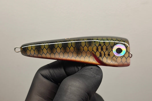 REDBREAST TILAPIA
